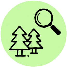 Infografika - jabłko i serce