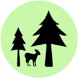 Infografika - książka z listą